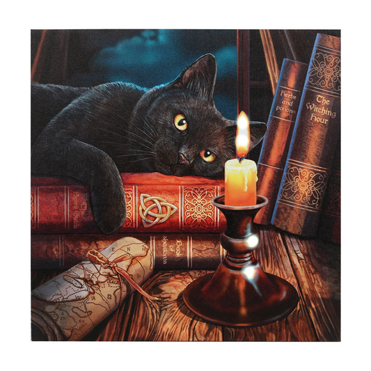 The Witching Hour Light Up Canvas Plaque by Lisa Parker - Enchanting Illuminated Art - BEYRUN