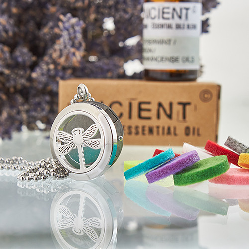 Dragonfly 25mm Aromatherapy Diffuser Necklace | Stainless Steel Locket with 10 Color Pads - BEYRUN