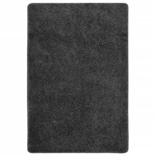 vidaXL Shaggy Rug Dark Grey 140x200 cm - Luxuriously Soft, Anti-Slip, Durable & Machine Washable - BEYRUN