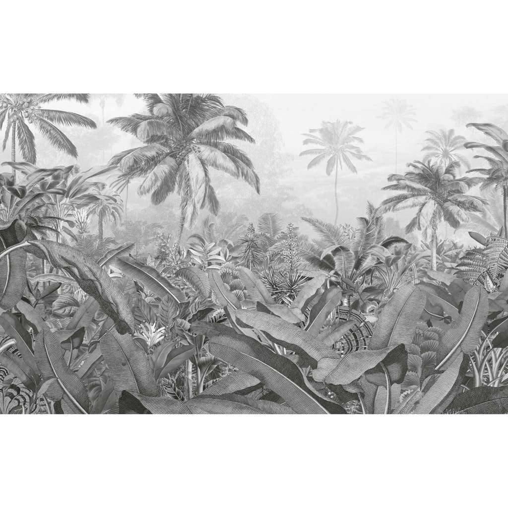 Komar Amazonia Black and White Photo Mural - 400x250 cm | Stunning Wall Art for Modern Interiors - BEYRUN