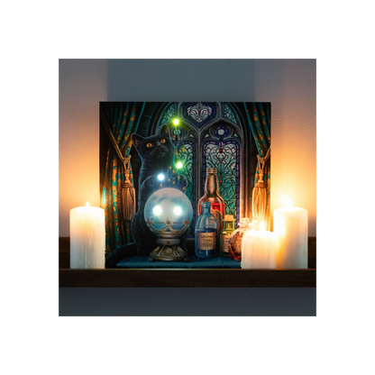 The Witches Apprentice Light Up Canvas Plaque by Lisa Parker - BEYRUN