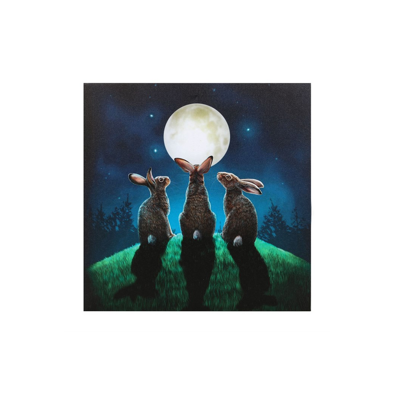 Moon Shadows Light Up Canvas Plaque by Lisa Parker - Illuminate Your Space with Mystical Art - BEYRUN