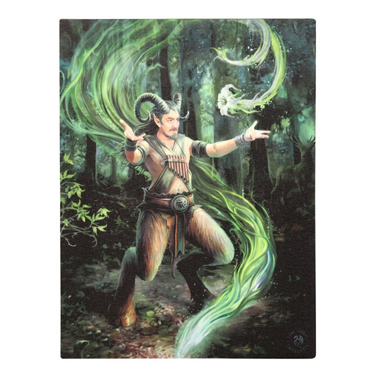 19x25cm Earth Element Wizard Canvas Plaque by Anne Stokes - BEYRUN