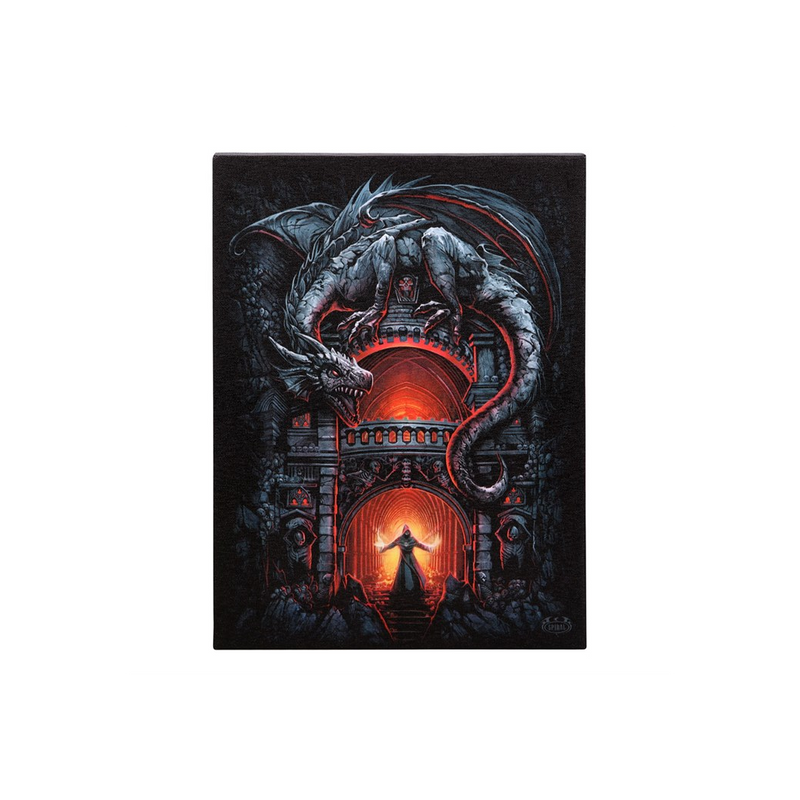 19x25cm Dragon's Lair Canvas Plaque by Spiral Direct - BEYRUN