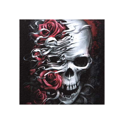 19x25cm Skulls n Roses Canvas Plaque by Spiral Direct - BEYRUN