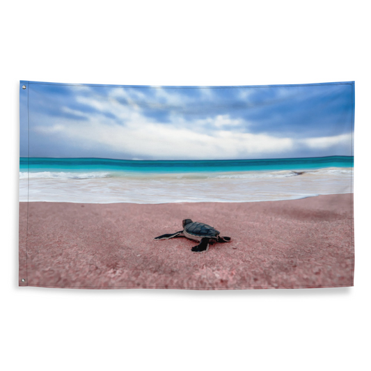 Turtle on Beach Painting Flag Tapestry - Nautical Home Decor | Durable Polyester - BEYRUN