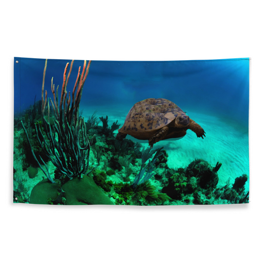 Turtle Artwork Flag Tapestry | Stunning Wall Decor for Your Home - BEYRUN