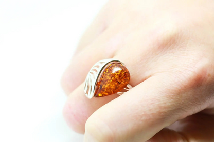 Shell Frame Amber Ring