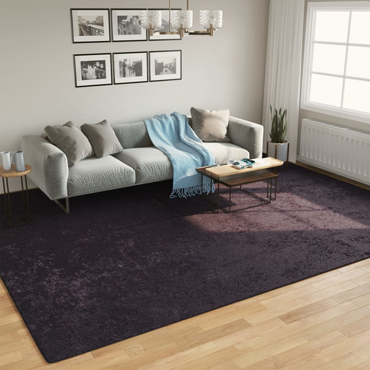 vidaXL Washable Rug Anthracite 400x300 cm | Anti-Slip, Soft Velvet, Noise Reduction - BEYRUN