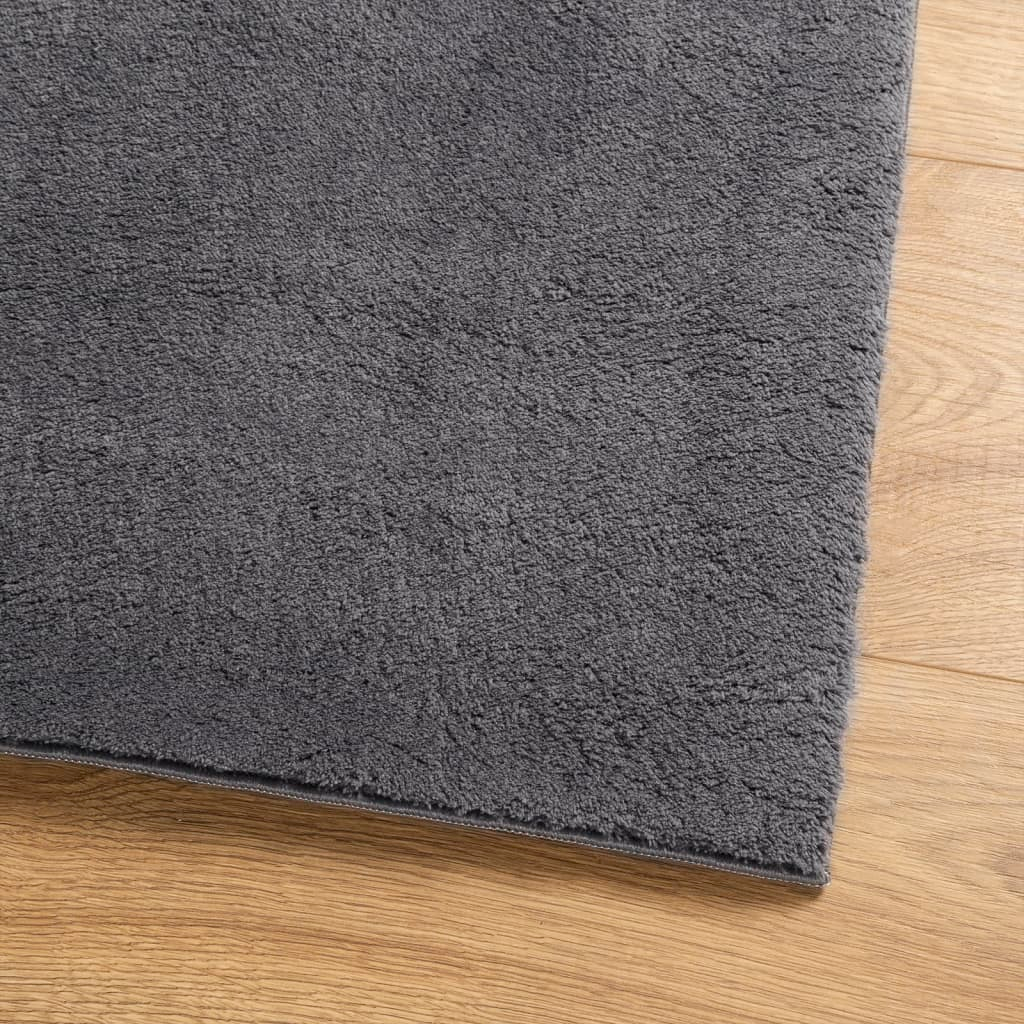 vidaXL HUARTE Rug - Soft, Washable, Short Pile, Non-slip Anthracite 100x200 cm | Cozy & Stylish - BEYRUN