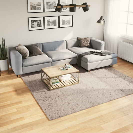 vidaXL Shaggy Rug PAMPLONA - Luxuriously Soft High Pile Rug, Modern Beige 240x240 cm - BEYRUN