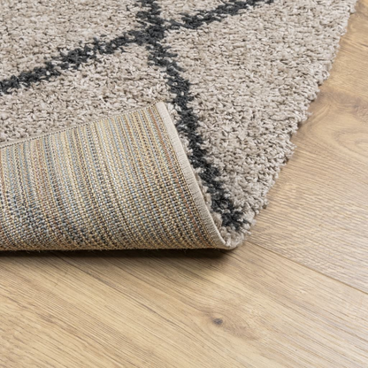 vidaXL Shaggy Rug PAMPLONA - Modern High Pile Beige & Anthracite, 240x340 cm - BEYRUN