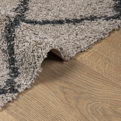 vidaXL Shaggy Rug PAMPLONA - Modern High Pile Beige & Anthracite, 240x340 cm - BEYRUN