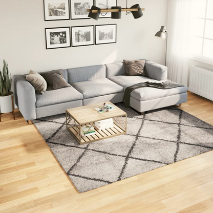 vidaXL Shaggy Rug PAMPLONA - Plush High Pile Rug, Modern Beige and Anthracite, 240x240 cm - BEYRUN