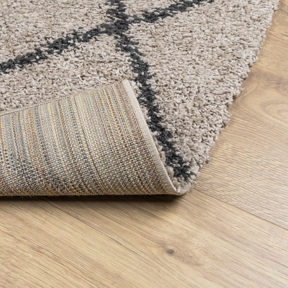 vidaXL Shaggy Rug PAMPLONA - Plush High Pile Rug, Modern Beige and Anthracite, 240x240 cm - BEYRUN