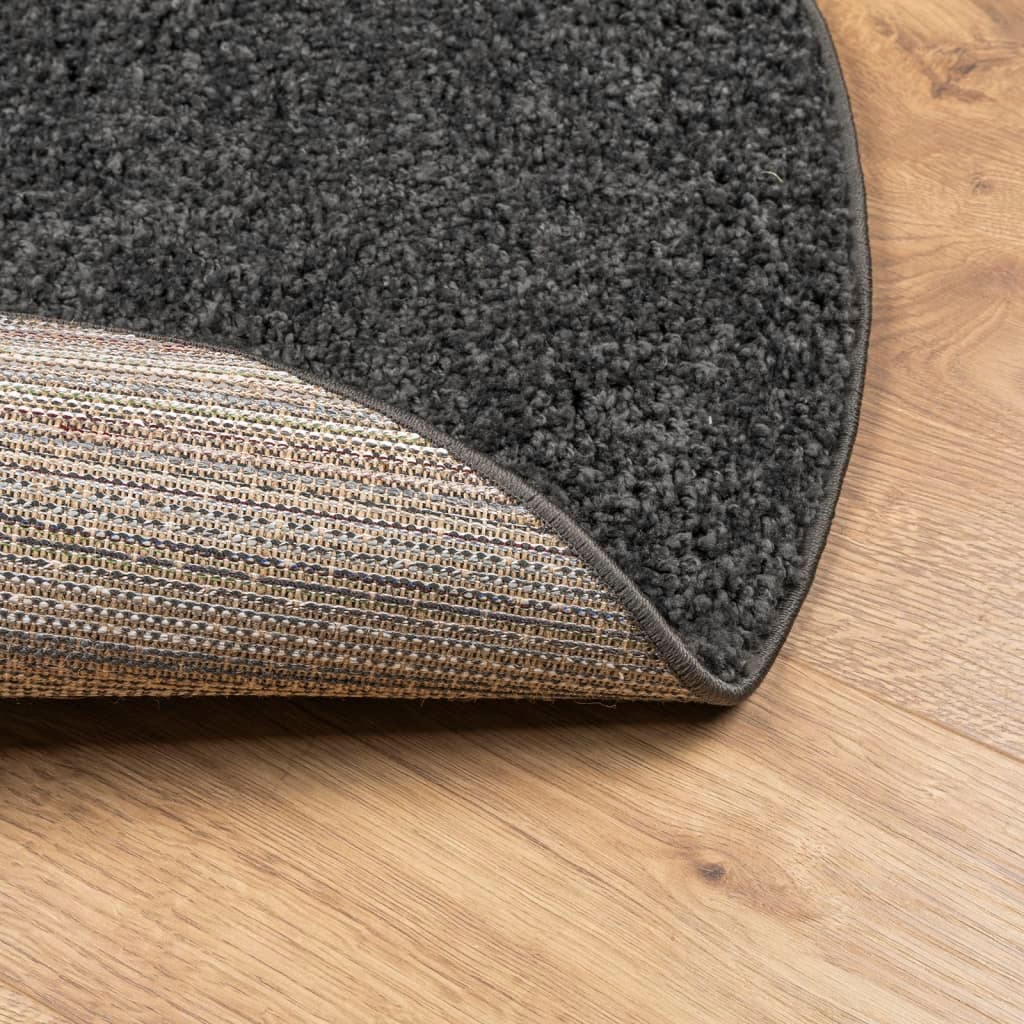 vidaXL Shaggy Rug PAMPLONA - High Pile, Modern Anthracite, Ø 200 cm - Luxurious & Cozy Area Rug - BEYRUN