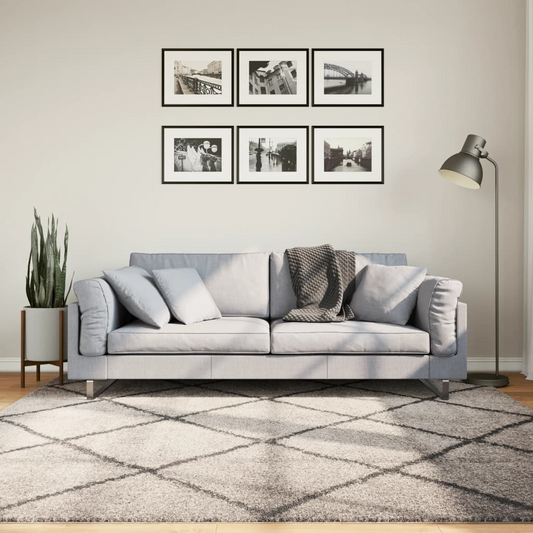 vidaXL Shaggy Rug PAMPLONA High Pile - Modern Beige and Anthracite 200x200 cm - Soft and Durable - BEYRUN