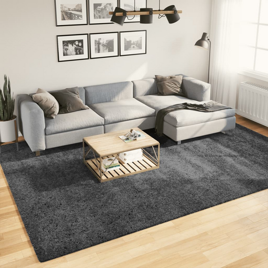 vidaXL Rug OVIEDO Short Pile Anthracite 240x340 cm - Luxuriously Soft & Durable - BEYRUN