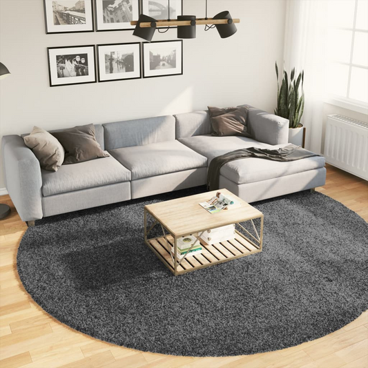 vidaXL Rug OVIEDO Short Pile - Soft & Durable Anthracite Rug Ø 280 cm - BEYRUN