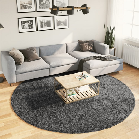 vidaXL OVIEDO Anthracite Short Pile Rug - 240 cm Diameter, Ultra Soft & Durable - Ideal for Living Room, Bedroom, Office - BEYRUN