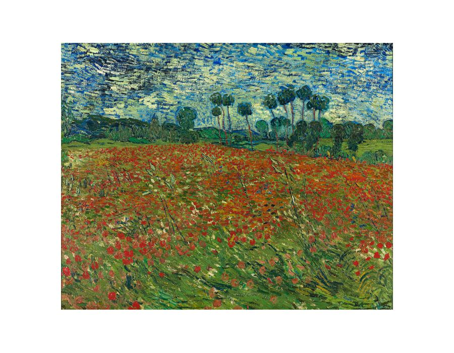 Poppy Field Canvas Print by Vincent Van Gogh | High-Quality Wall Art - BEYRUN