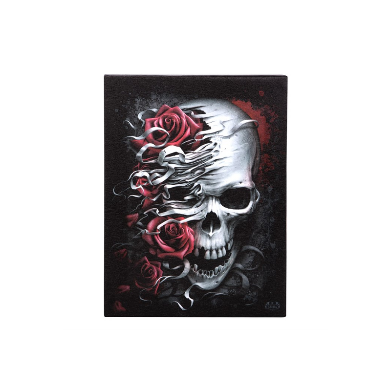 19x25cm Skulls n Roses Canvas Plaque by Spiral Direct - BEYRUN