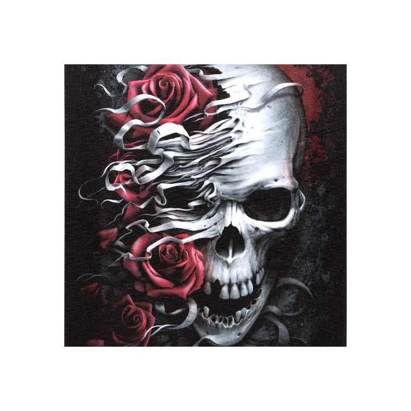 19x25cm Skulls n Roses Canvas Plaque by Spiral Direct - BEYRUN