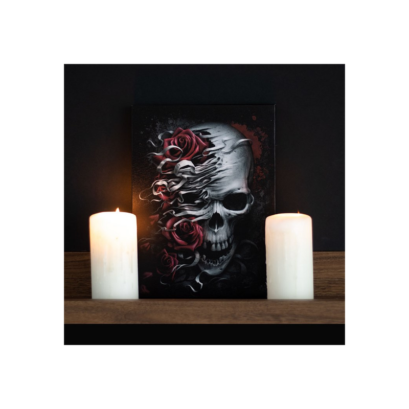 19x25cm Skulls n Roses Canvas Plaque by Spiral Direct - BEYRUN